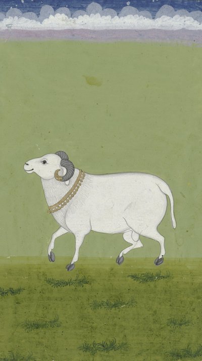 Oinas kultakauluksella, 1700-1799 tekijältä Indian School