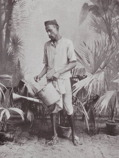 Bombay / Mumbai: Puutarhuri (s/w valokuva) tekijältä Indian photographer