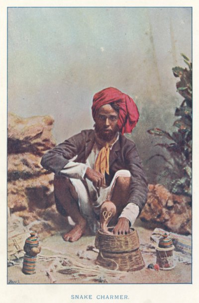 Intiaanit: Snake Charmer (värillinen kuva) tekijältä Indian photographer