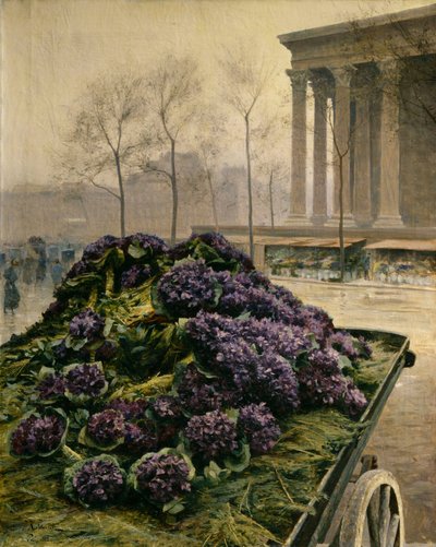 Violetteja Nizzasta, 1902. tekijältä Iosiph Evstafievich Krachkovsky