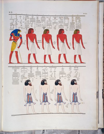 "Egyptiläisten tuntemat eri ihmislajit", kuvattu Menphtah I:n haudassa, kuva Ippolito Rosellinin teoksesta "Egyptin ja Nubian muistomerkit" tekijältä Ippolito Rosellini