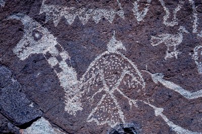 Anasazi Petroglyph (kalliotaide) kaiverrukset New Mexicossa. tekijältä Ira Block