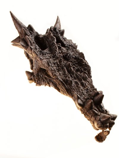 Dracorexin kallo Indianapolisin lastenmuseossa Indianassa. tekijältä Ira Block