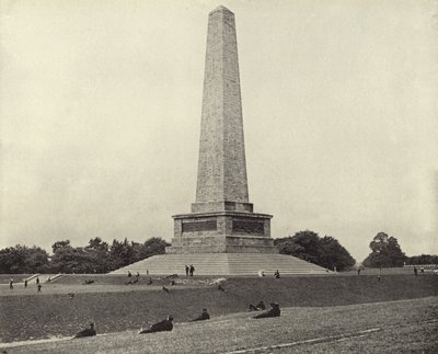 The Wellington Testimonial, Phoenix Park (m/w kuva) tekijältä Irish Photographer