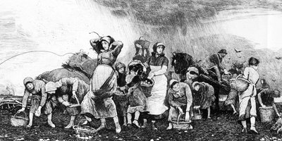 Perunankorjuu, noin 1870-luku tekijältä Irish School