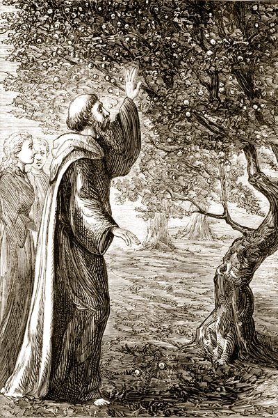 St. Columba muuttaa katkerat hedelmät makeiksi, Mary Cusackin (1829-1899) 1890-luvulla julkaistusta The Trias Thaumaturgasta eli Three Wonder-Working-Working Saints of Ireland tekijältä Irish School