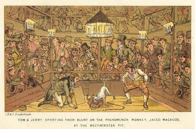 Tom ja Jerry urheilevat ilmiömäistä apinaa Jacco Macaccoa Westminster Pitissä tekijältä Isaac, Robert and George Cruikshank