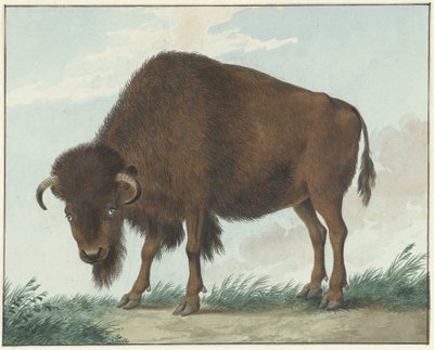 Bison tekijältä Isaac van Haastert