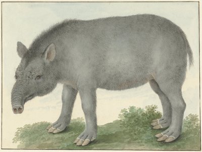 Tapiiri tekijältä Isaac van Haastert