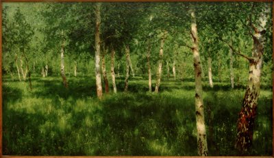 Birkenhain tekijältä Isaak Ilyich Levitan