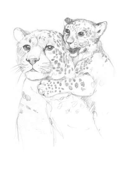 Leopardit tekijältä Isabelle Brent
