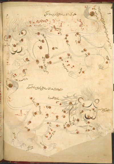 Tai 5323 f.45v Kaksi leijonaa, kuva Abd al-Rahman al-Sufin kirjasta Kiinteiden tähtien kuvaus (muste ja väri paperille) tekijältä Islamic School