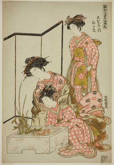 Shirotae of the Okanaya, sarjasta "Models for Fashion: New Designs as Fresh as Young Leaves (Hinagata wakana no hatsu moyo)" tekijältä Isoda Koryusai