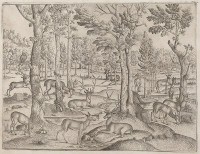 Hirvi metsässä tekijältä Italian 16th Century