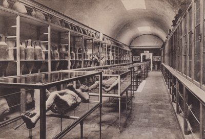 Interno del Museo, Museon sisätilat (m/w kuva) tekijältä Italian Photographer