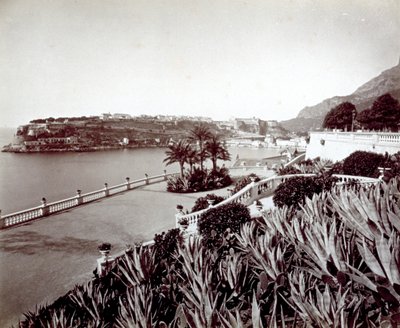 Panoraama Montecarlosta. Etualalla tiheä agavekasvien ja kaktuksen kasvillisuus tekijältä Italian Photographer