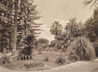 Sisilia / Sisilia: Villa Tasca, Palermo (s/w-kuva) tekijältä Italian Photographer