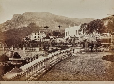 Villa rivitalopuutarhalla Monte Carlossa Monacon ruhtinaskunnassa tekijältä Italian Photographer