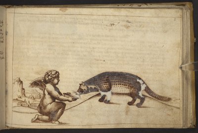 Lisätä. 82955, f.193   Kerubi ja olento.  , Historia Animaliumilta, (koostuu 245 kynällä ja musteella tehdystä piirroksesta eri eläinlajeista ja myyttisistä olennoista, joista jokaiseen on liitetty kuvaus.)    1595 tekijältä Italian School