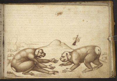 Lisätä. 82955, f.244 Koiran kaltaiset olennot taistelevat (