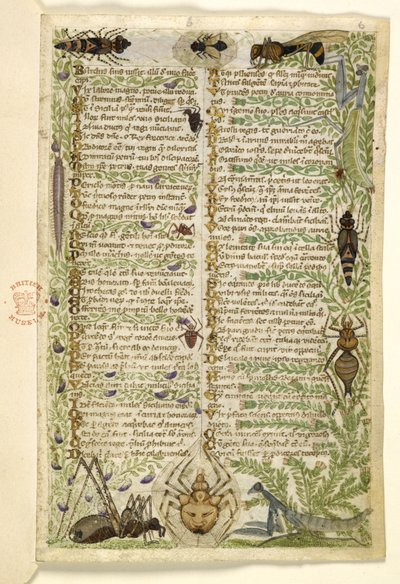 Lisää MS 28841 f.006r Lehdet proosakäsityksestä seitsemästä paheesta ja säe tapahtumista Sisilian historiasta Fredrik II:n ajalta, kirjoittanut Cocharelli, n. 1330-1340 tekijältä Italian School