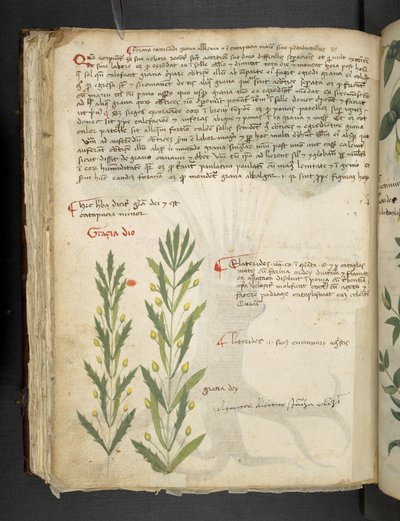 Lisää MS 41623 f.39v 