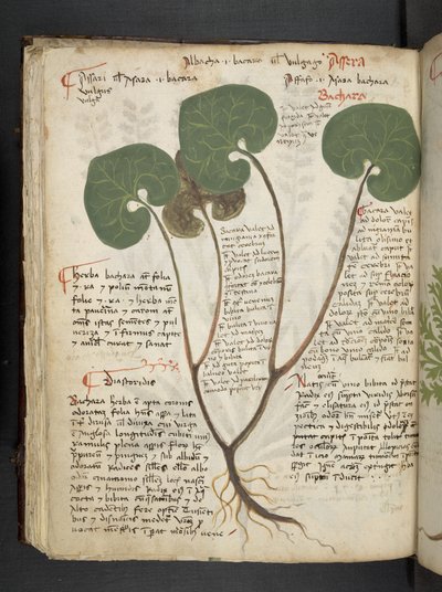 Lisää MS 41623 f.60v 