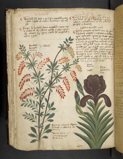 Lisää MS 41623 f.89v 