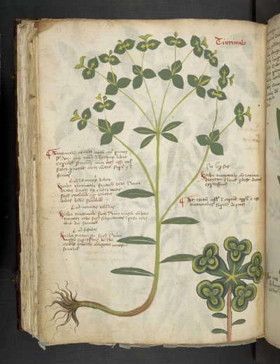 Lisää MS 41623 f.94v 