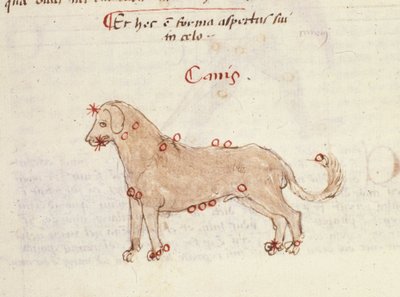 Koiran tähtikuvio (Canis). Miniatyyri Biasino da Parman (Blaise de Parma) "" Astronomicasta" (1425-1457) tekijältä Italian School