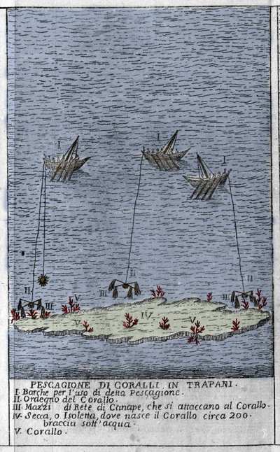 Korallin kalastus Sisilian Trapaninlahdella, joka edustaa pieniä vedenalaisia saaria, joille muodostuu korallitynnyreitä. Kaiverrus "" Stato Presente della Sicilia" - kirjoittaja Arcangelo Leanti, Palermo 1761 tekijältä Italian School