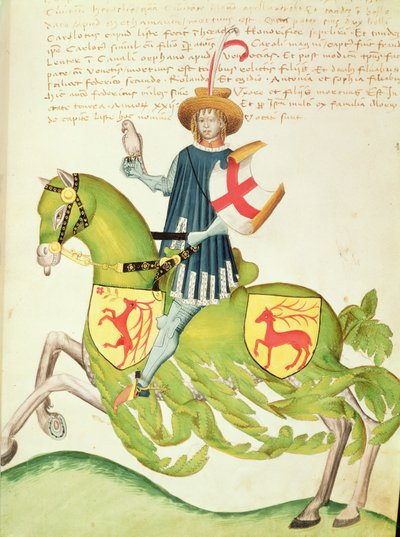 Falconer, Codex Capodilistasta (vellum) tekijältä Italian School