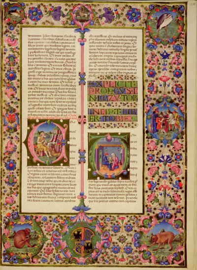 Fol.212r Llibre de Toby, de la Bíblia del Borso d