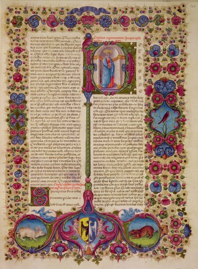 Fol.231r Pyhän Pietarin ensimmäinen kirje apostoleille, Borso d