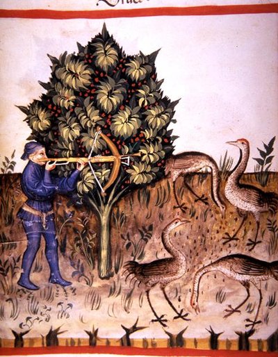 Fol.70v metsästysnosturi, kuva 