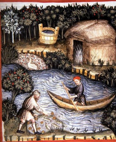 Fol.82r tuore kala, kuva 