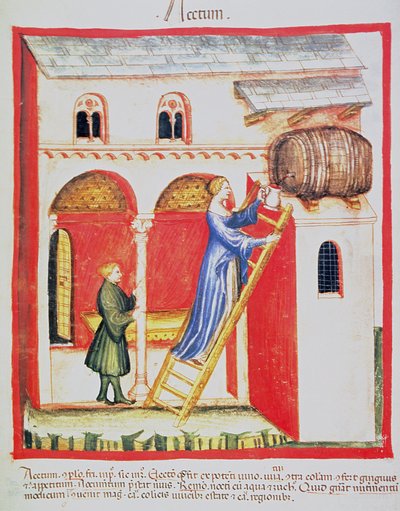 Fol.85v Etikka, kuva Tacuinum Santiatis Codex Vindobonensis tekijältä Italian School