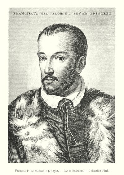 Francois II de Medicis tekijältä Italian School