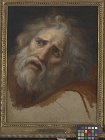 Head Of Laocoon (öljy kankaalle) tekijältä Italian School