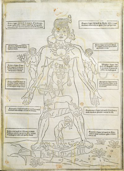 Kuvitus "Fassiculus Medicinae" Venetsiasta tekijältä Italian School