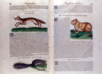 Kuvituksia Conrad Gesnerin Historia Animaliumista tekijältä Italian School