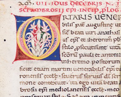 Alkukirjain "O" leikkauksen kääntöpuolella Milanon Paulinuksen kanssa, Vita Sancti Ambrosi, luultavasti Toscanasta, n. 1150-75 (muste perunakalvolla) tekijältä Italian School