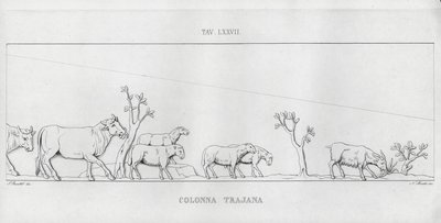 La Colonna Trajana, Trajanuksen pylväs (kaiverrus) tekijältä Italian School