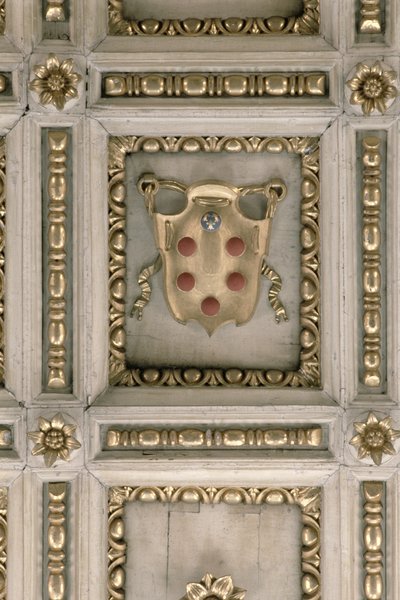 Escut dels Medici, de l