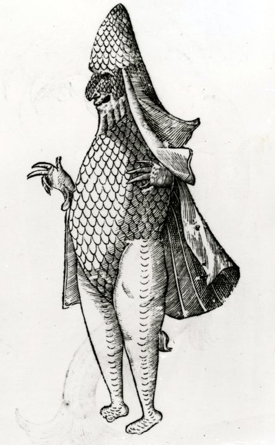 Hirviö Marinus viittaa piispan koulutottumuksiin, 1642 tekijältä Italian School