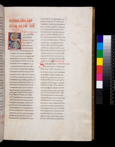 Ms 143. Gregorius Suuri, Registrum Epistolarum, f.8r. Koristeltu nimikirjain [S] valkoisella viiniköynnöksellä ja loppupäällä tekijältä Italian School