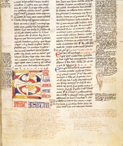 Ms. McClean 135, f.96r: yksityiskohta kasvimuodon historiallisesta alkukirjaimesta C Gratians Decretum, 1100-luvun lopulla tekijältä Italian School