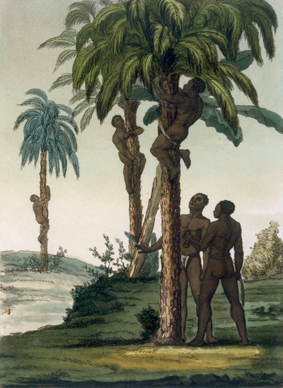 Alkuperäisasukkaat kiipeävät kämmenissä riimuilla lantion ympärillä, 1820-30-luku tekijältä Italian School