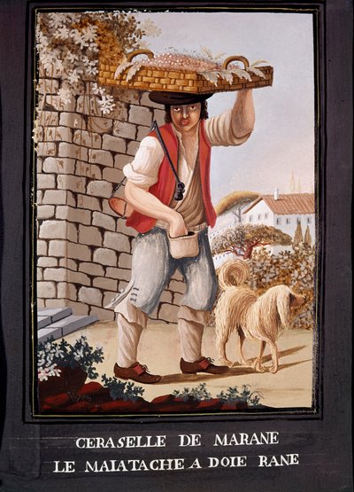 Napolilaiset: marascan kirsikoiden myyjä - (Vanha kauppa: marascakirsikoiden myyjä) 1800-luvun akvarelli - Napoli Museo Nazionale di San Martino tekijältä Italian School