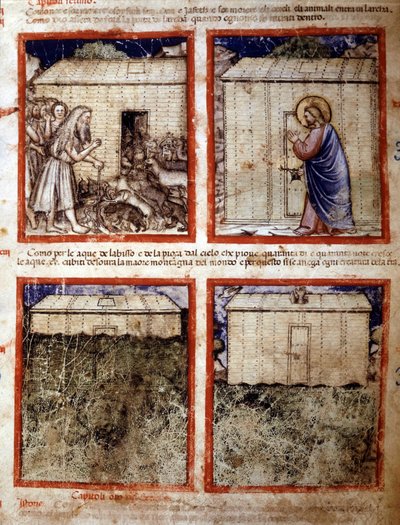 Nooan arkki, miniatyyri otettu koodista 212 (tai Padovano-koodi tai Padovan Raamattu) 1390-1400 Rovigo, Accademia dei Concordi tekijältä Italian School